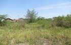 Land at Nyasa Rd - 3