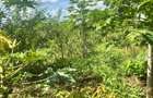 2 ac Land at Karingani - 8