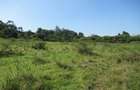 Residential Land at Ololua Ridge - 13