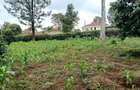 Land at Mimosa Road - 9