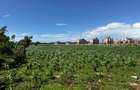 Land in Vipingo - 9