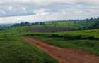 31 ac Land at Limuru Road - 2