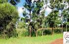 0.25 ac Land at Thika - 7