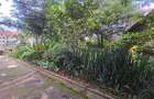 Land in Lavington - 4