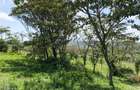 0.25 ac Land at Kibiko - 2