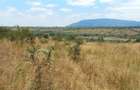 10 ac Land at Maguguni - 6