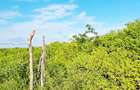 Land at Watamu - 7