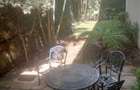 Furnished 2 Bed Apartment with En Suite in Westlands Area - 16