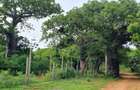 6 ac Land at Kilifi - 7