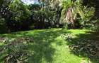 4 Bed House with En Suite in Rosslyn - 17