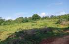 Residential Land at Mtondia Kilifi - 3