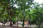 Land in Diani - 1
