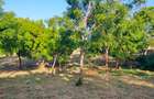 Land in Mtwapa - 8