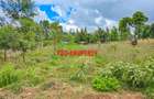 0.05 ha Residential Land at Gikambura - 2