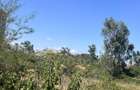 Commercial Land in Upper Hill - 9