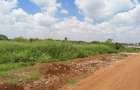 25 ac Land at Off Paradise Lost Road - 5