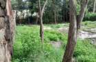 2.25 ac Commercial Land at Rongai - 3