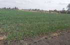 Land at Kisaju - 1