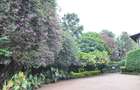 4 Bed House with En Suite at Muthaiga Road - 5