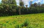 Land in Kikuyu Town - 1