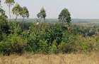 114 m² Residential Land in Ngong - 4