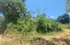 6 ac Land at Mtepeni - 8