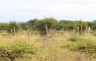 0.125 ac Residential Land at Kitengela - 11
