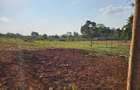 0.25 ac Land at Runda Mhasibu - 1