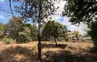 Residential Land at Muthithi Gardens - 8