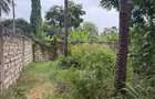 Land in Mtwapa - 4