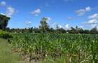 505 m² Land at Mavueni - 5