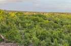0.045 ha Land at Mayungu - 8
