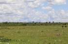 0.125 ac Land at Isinya - 10