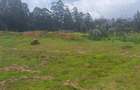 0.043 ha Residential Land at Kikuyu Kamangu - 7