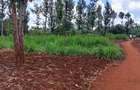 3 ac Land at Kenol - Thika Road - 4