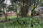 Residential Land in Kyuna - 5
