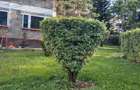Residential Land at Lavington Green - 8