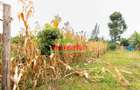 0.05 ha Residential Land in Kikuyu Town - 14