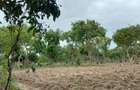 3 ac Residential Land in Kikambala - 3