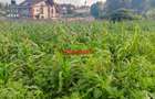 0.2 ha Residential Land at Ondiri - 2