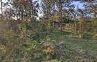 0.57 ac Land in Karen - 3