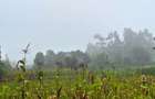2 ac Commercial Land at Rironi - 6