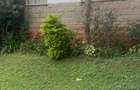 0.75 ac Land in Lavington - 2