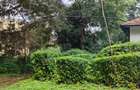 2 ac Land at Lantana Road - 6