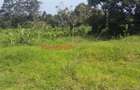 4,000 m² Land in Kikuyu Town - 14