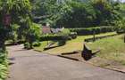 Land in Westlands Area - 5