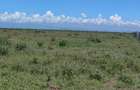 Land in Nanyuki - 14