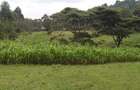 1,000 m² Residential Land in Ngong - 2