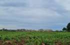 Land in Vipingo - 17