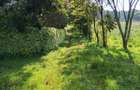 Land in Kikuyu Town - 12